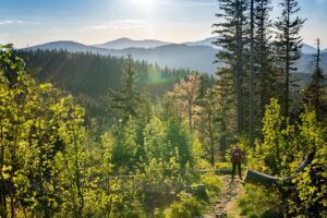 17 Napric Zemi Ceskou