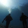 Krysar Silhouettes Of Two Scuba Divers In The Sea Some Fish Aro 574640bd 6094 4a98 B75d Fbfe7de9058b